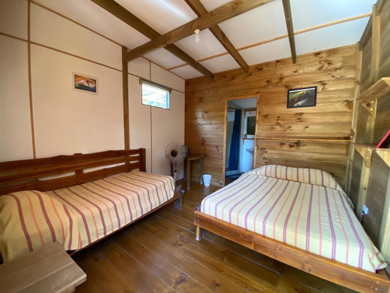 Playa Santa Teresa  Santeria Lodge מראה חיצוני תמונה