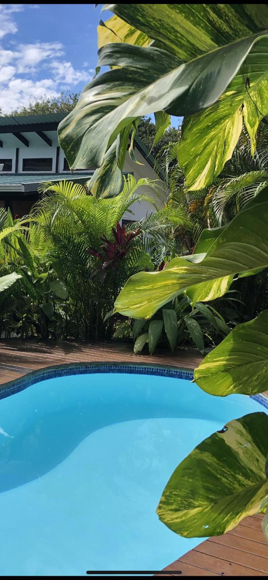 Playa Santa Teresa  Santeria Lodge מראה חיצוני תמונה