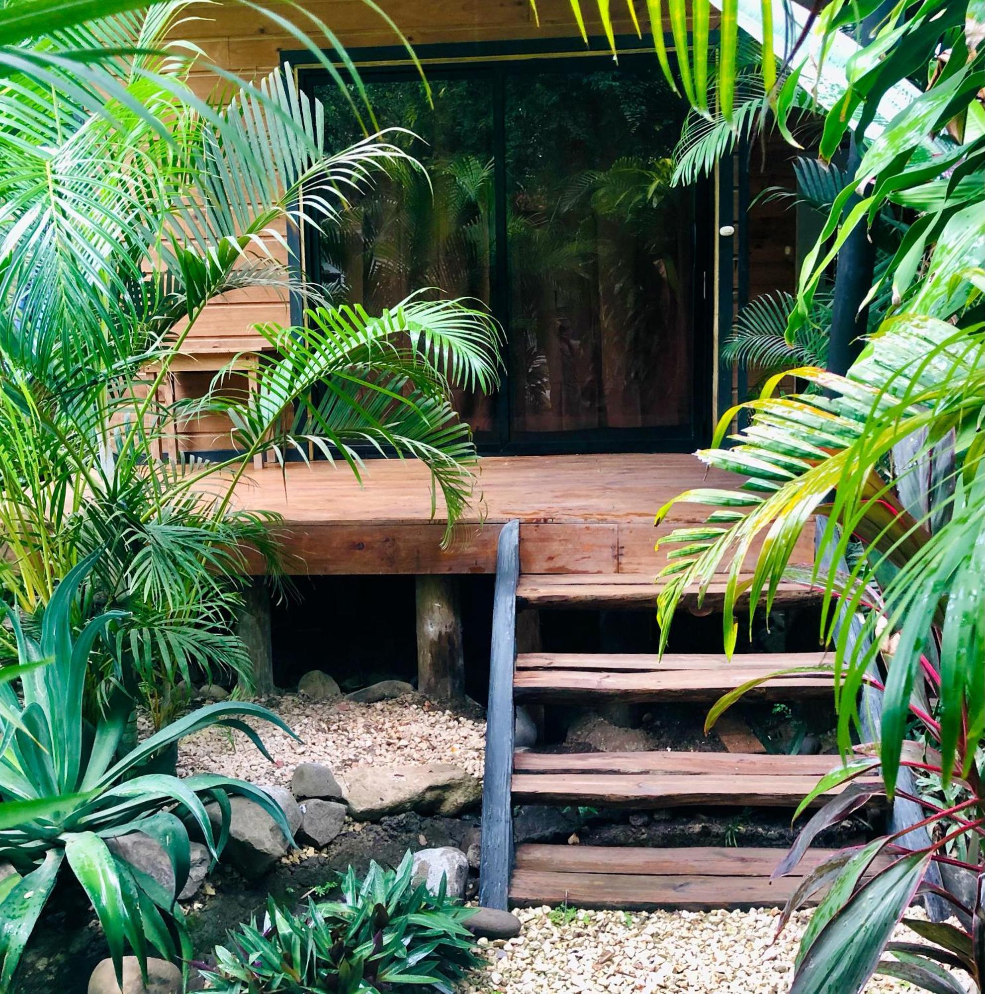 Playa Santa Teresa  Santeria Lodge מראה חיצוני תמונה