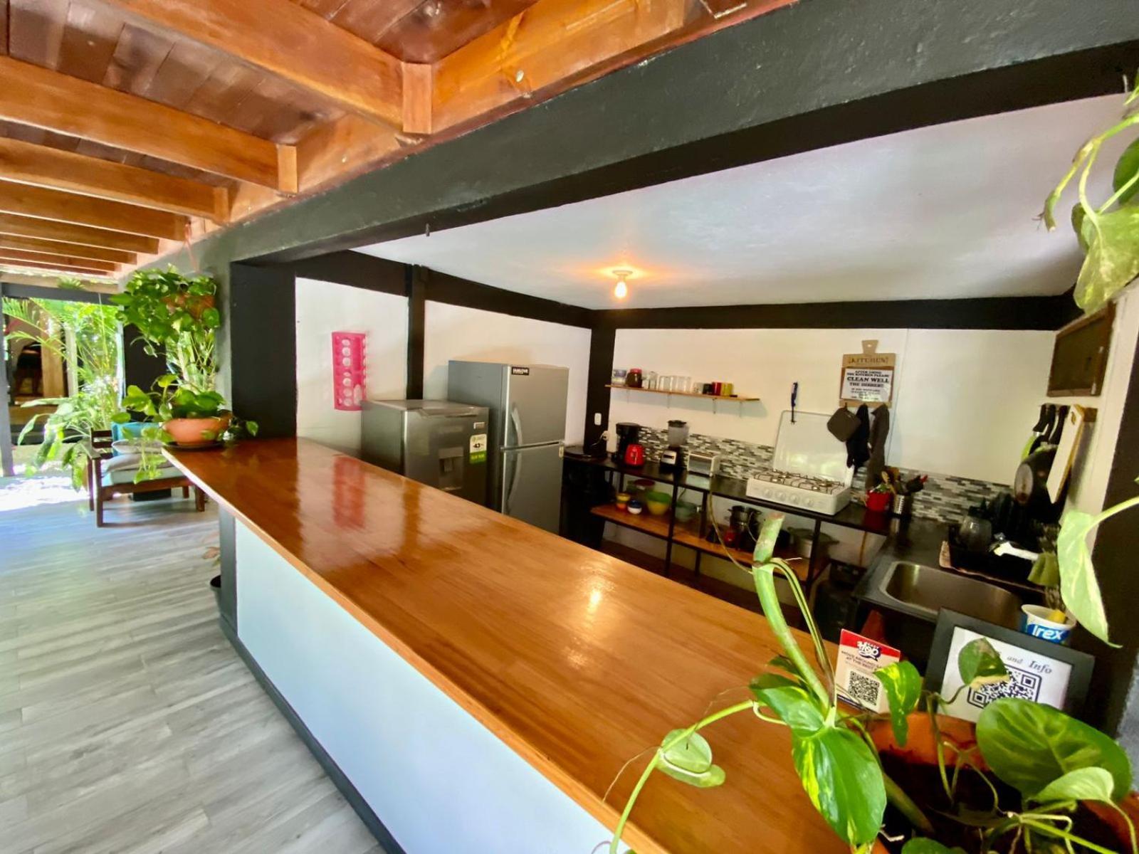 Playa Santa Teresa  Santeria Lodge מראה חיצוני תמונה