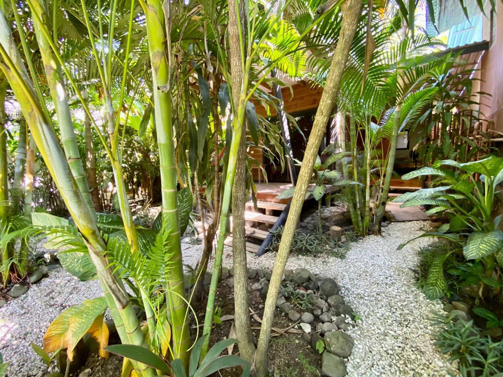 Playa Santa Teresa  Santeria Lodge מראה חיצוני תמונה