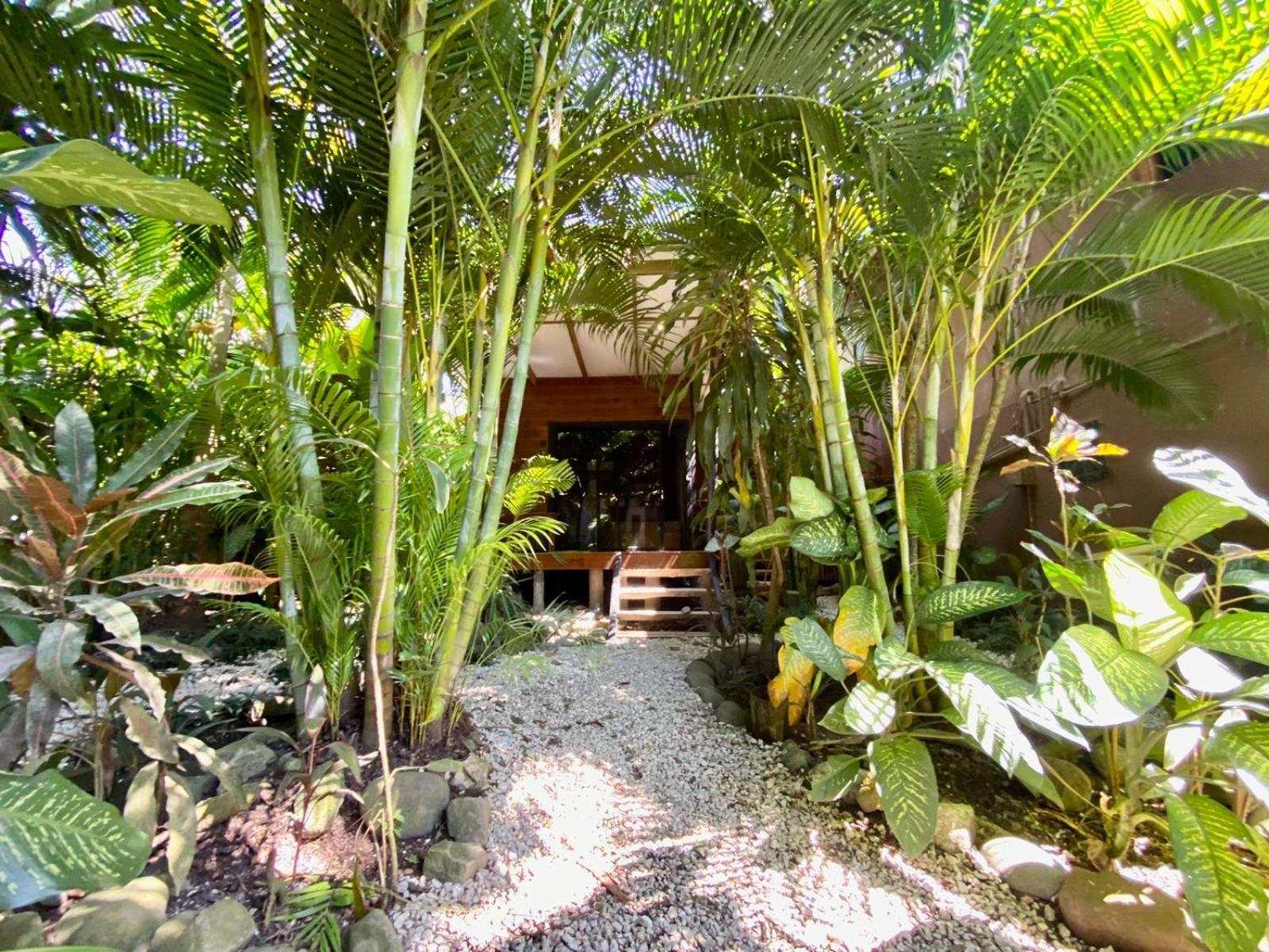 Playa Santa Teresa  Santeria Lodge מראה חיצוני תמונה