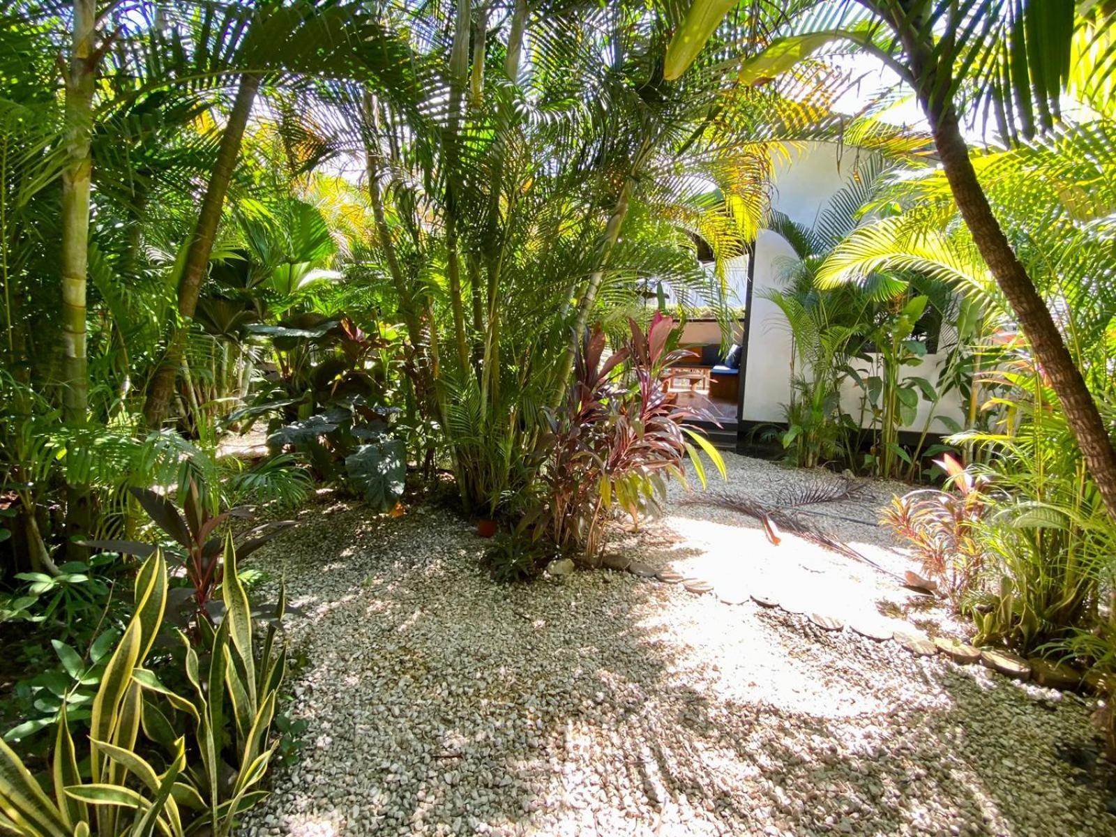 Playa Santa Teresa  Santeria Lodge מראה חיצוני תמונה