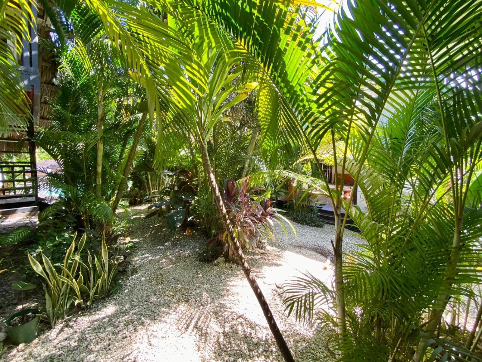Playa Santa Teresa  Santeria Lodge מראה חיצוני תמונה