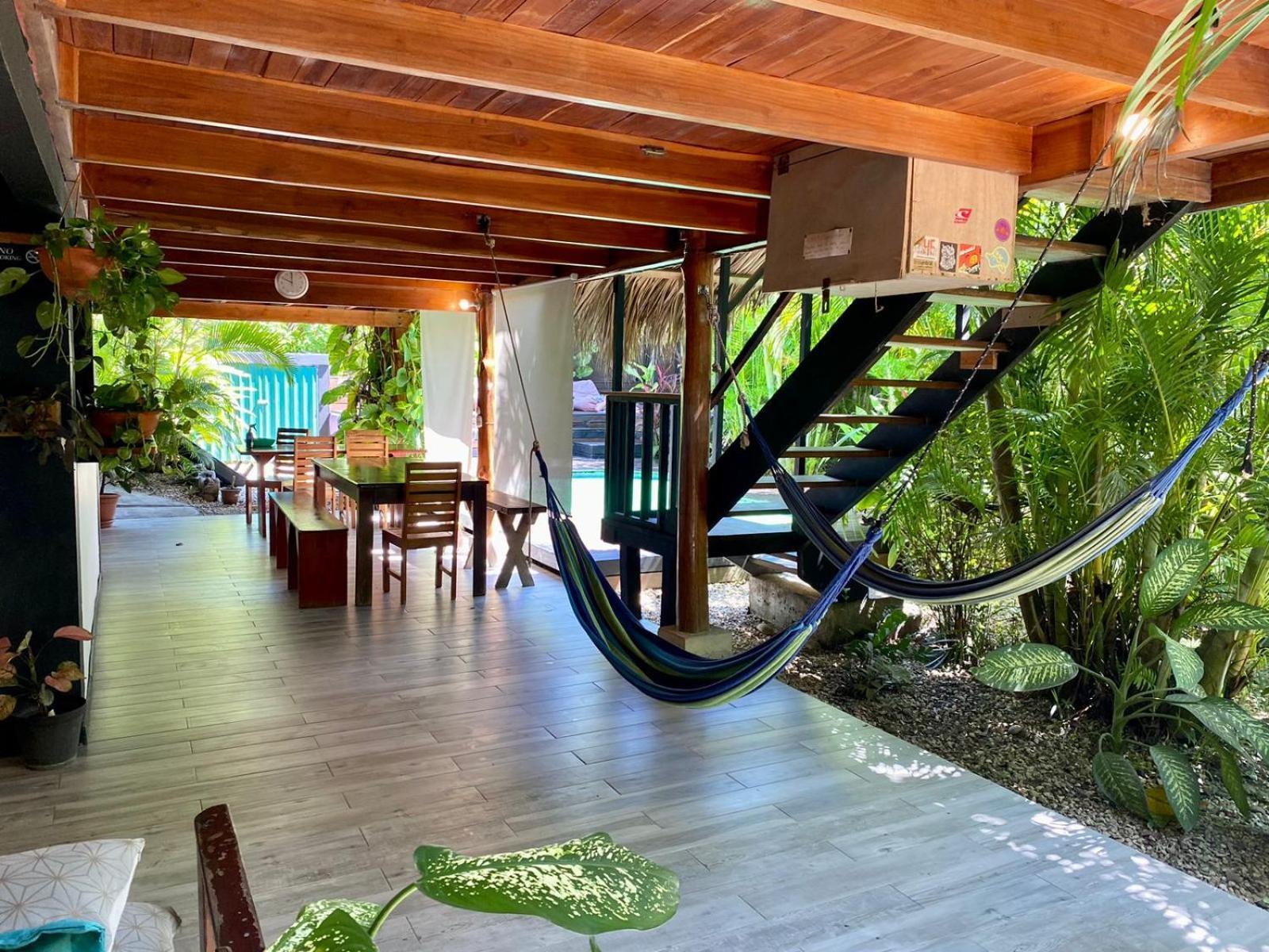 Playa Santa Teresa  Santeria Lodge מראה חיצוני תמונה