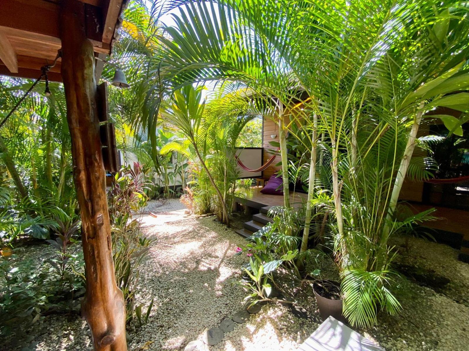 Playa Santa Teresa  Santeria Lodge מראה חיצוני תמונה