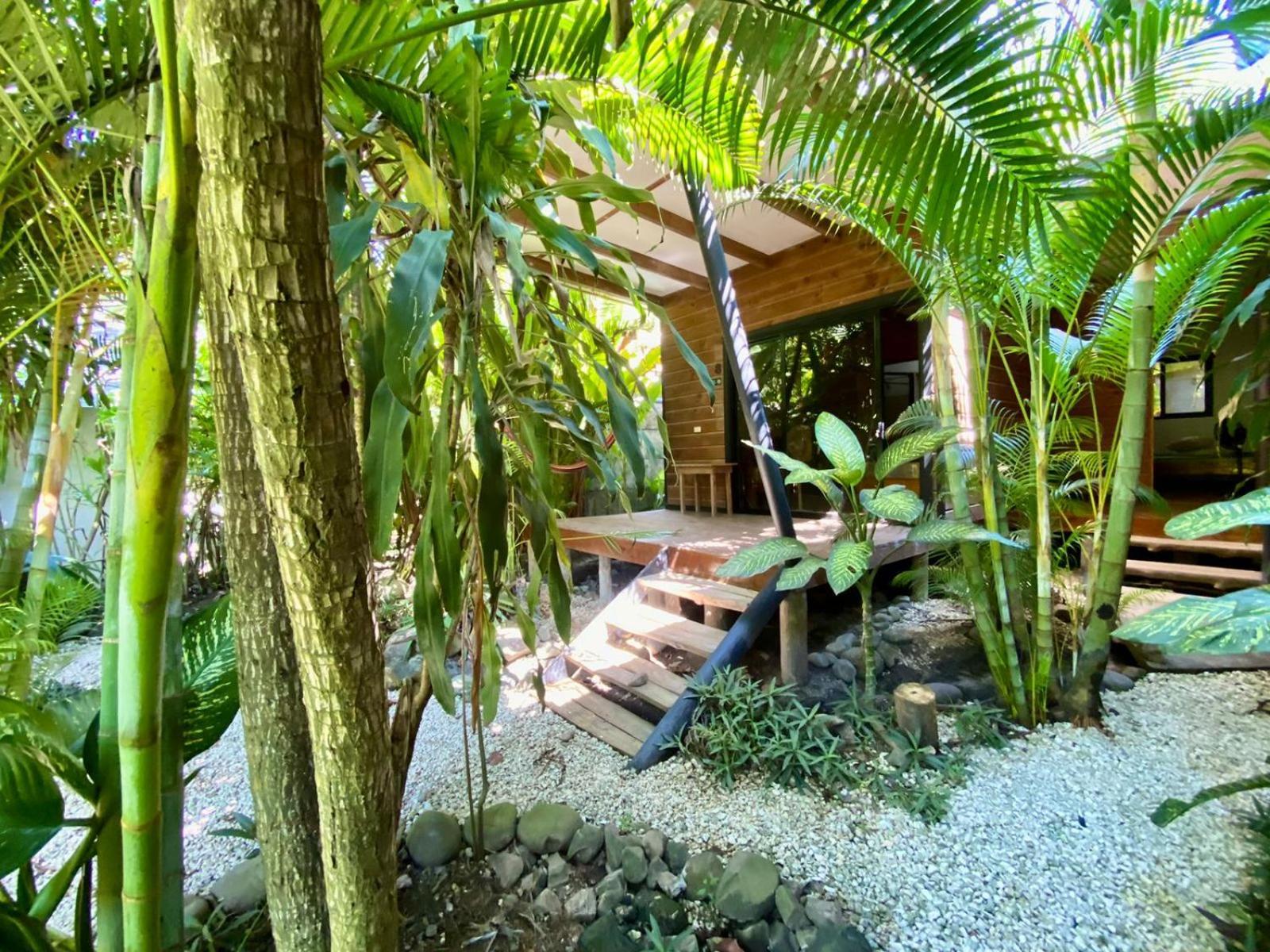 Playa Santa Teresa  Santeria Lodge מראה חיצוני תמונה