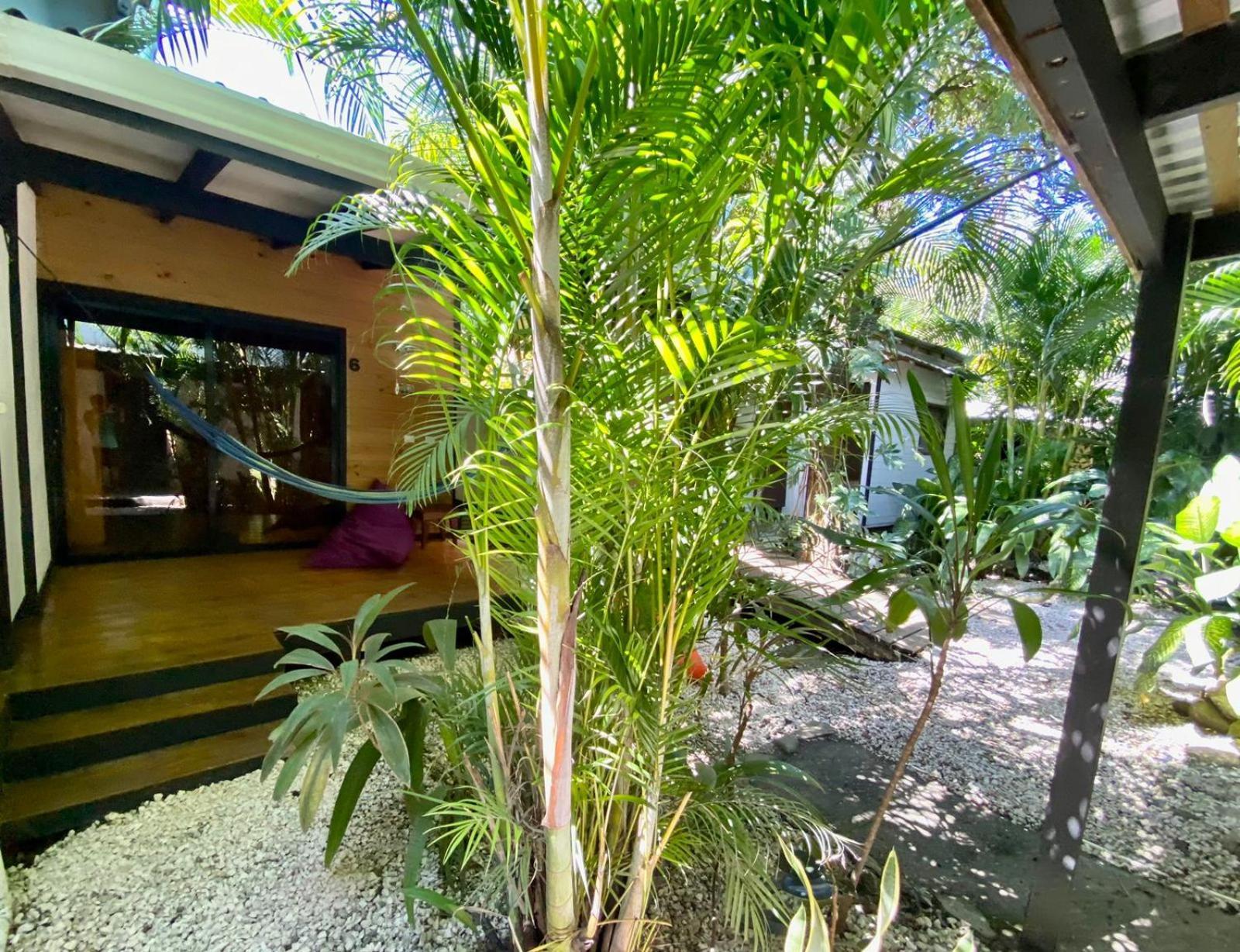 Playa Santa Teresa  Santeria Lodge מראה חיצוני תמונה