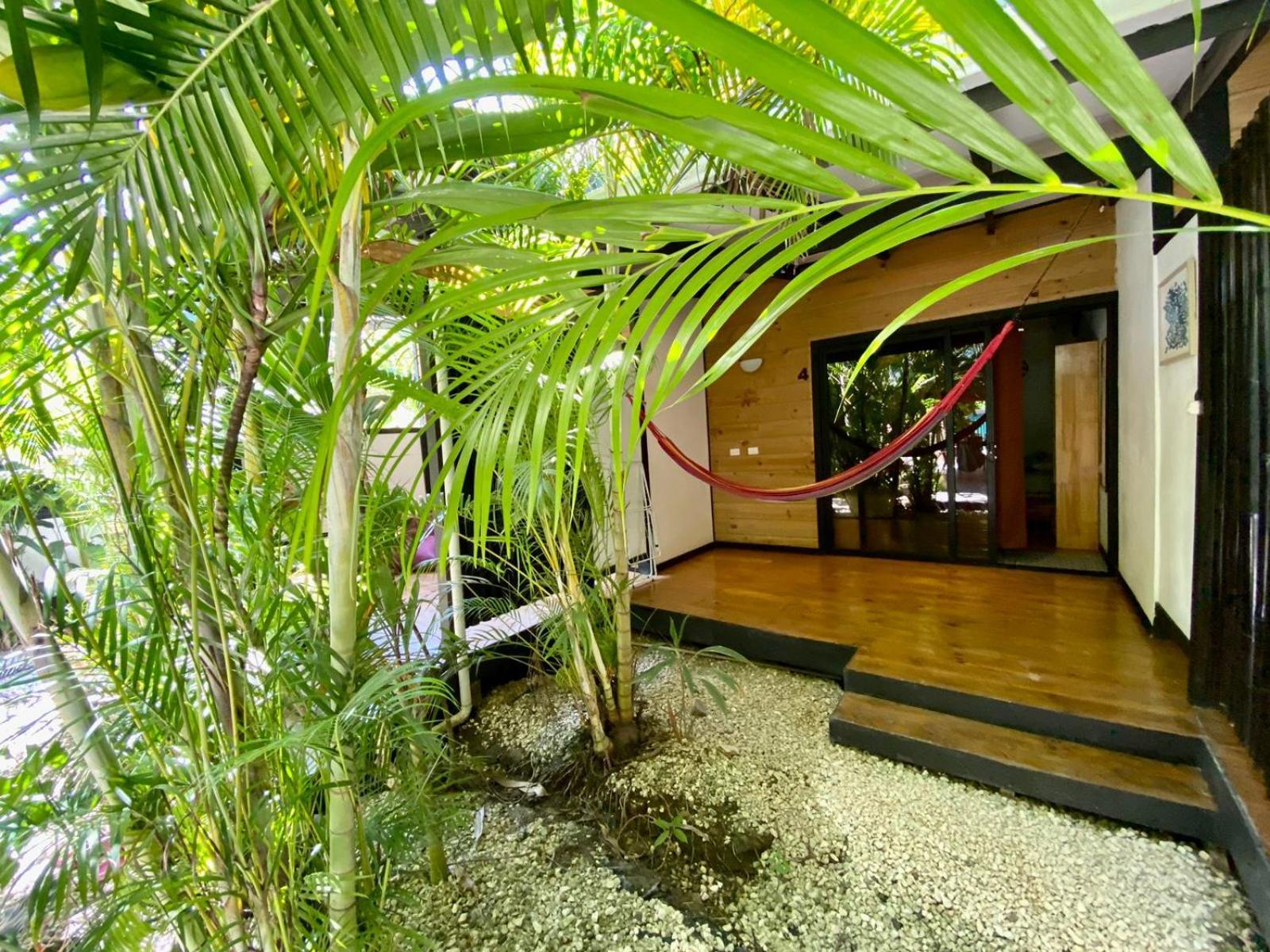 Playa Santa Teresa  Santeria Lodge מראה חיצוני תמונה