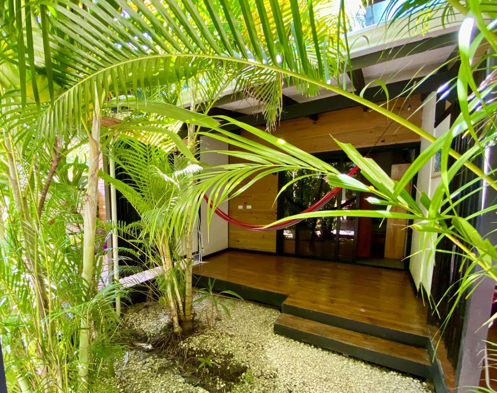 Playa Santa Teresa  Santeria Lodge מראה חיצוני תמונה