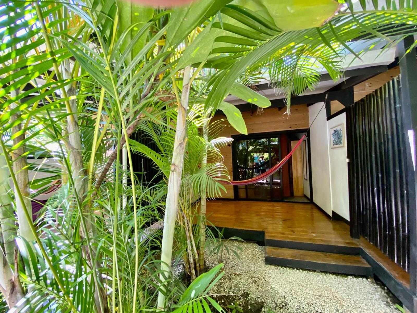 Playa Santa Teresa  Santeria Lodge מראה חיצוני תמונה