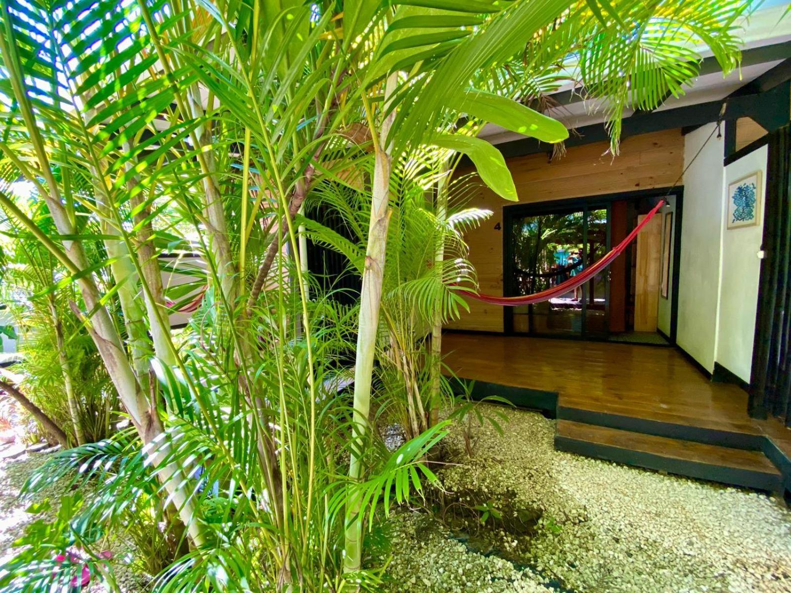 Playa Santa Teresa  Santeria Lodge מראה חיצוני תמונה