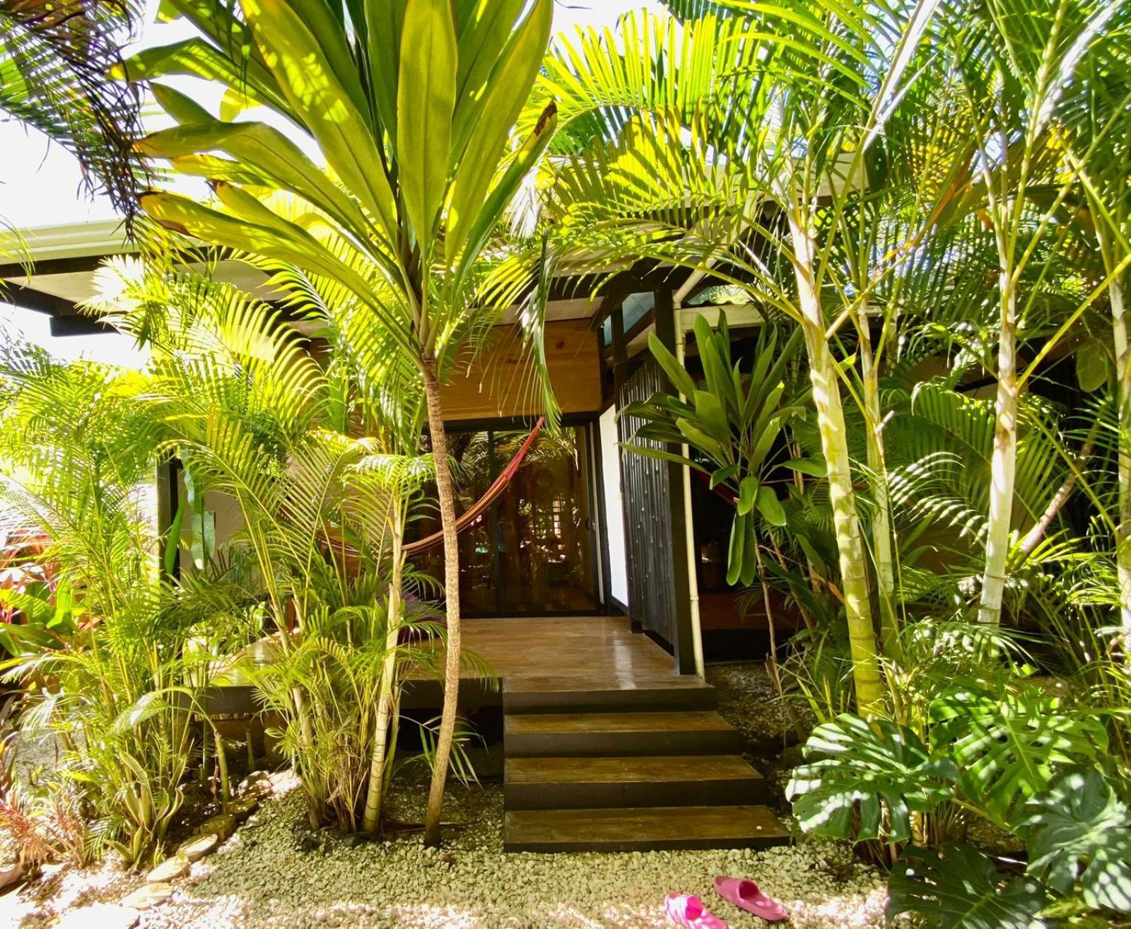 Playa Santa Teresa  Santeria Lodge מראה חיצוני תמונה