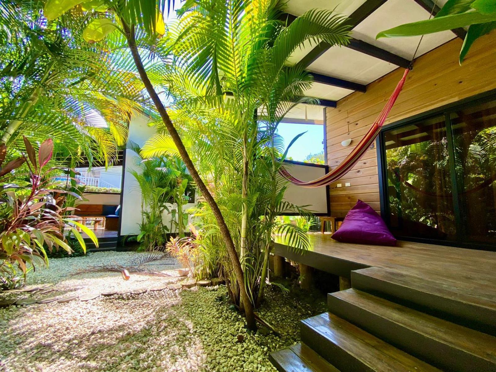 Playa Santa Teresa  Santeria Lodge מראה חיצוני תמונה