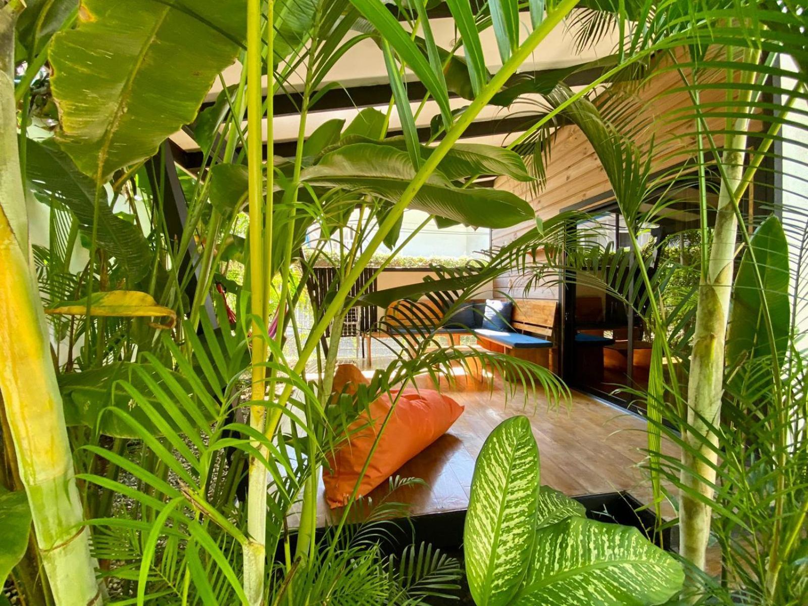 Playa Santa Teresa  Santeria Lodge מראה חיצוני תמונה