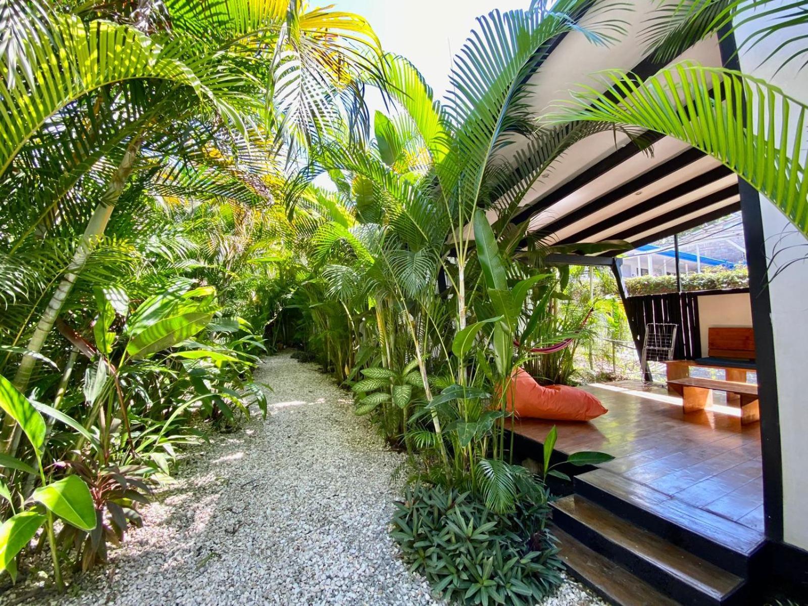 Playa Santa Teresa  Santeria Lodge מראה חיצוני תמונה
