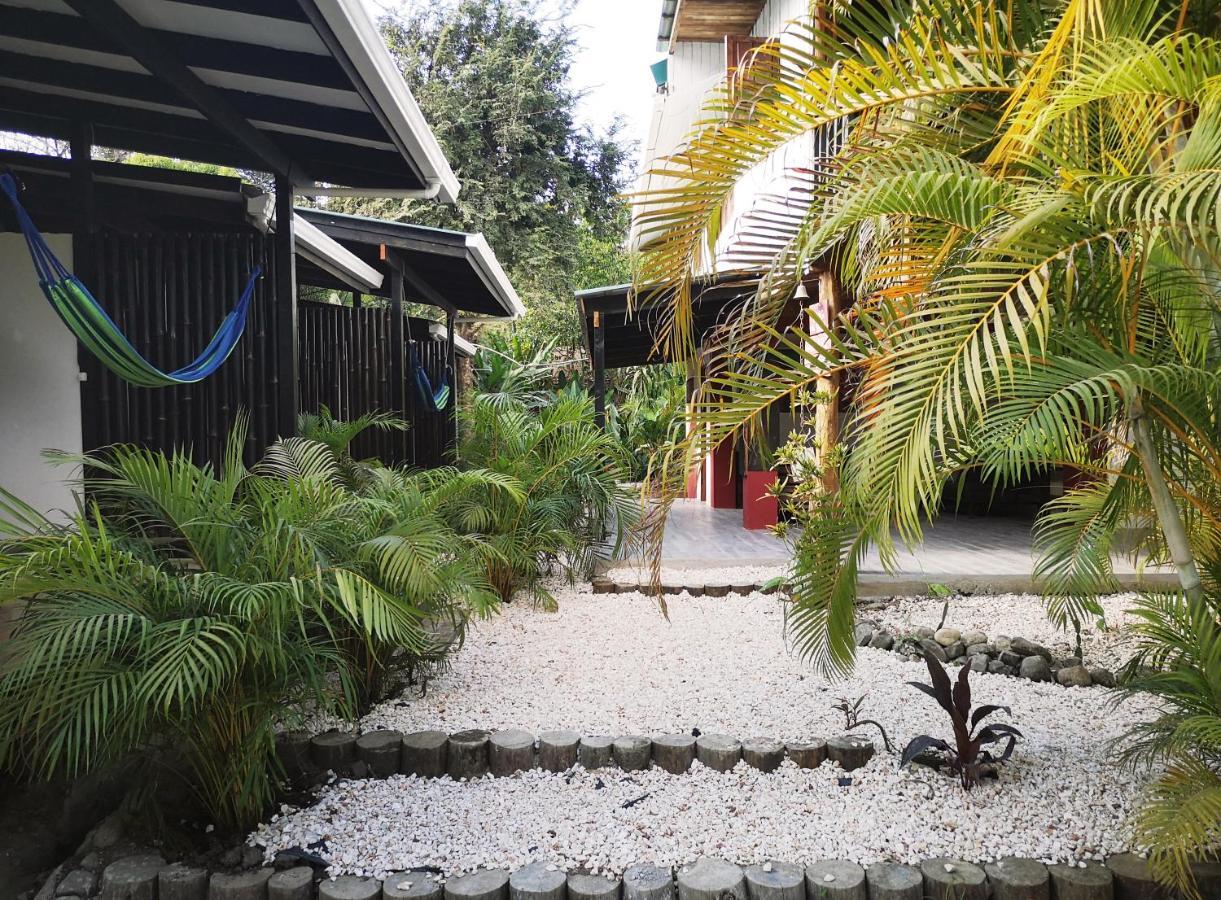 Playa Santa Teresa  Santeria Lodge מראה חיצוני תמונה